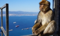 1-day trip to Gibraltar with departure from Cabanas de Tavira